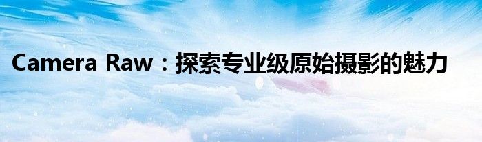 Camera Raw：探索专业级原始摄影的魅力