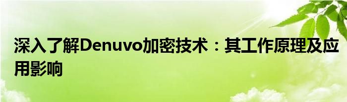 深入了解Denuvo加密技术：其工作原理及应用影响