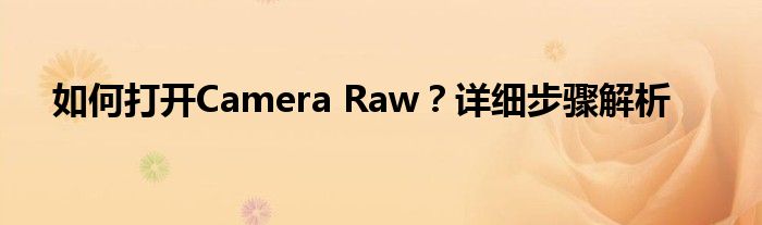 如何打开Camera Raw？详细步骤解析
