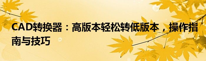 CAD转换器：高版本轻松转低版本，操作指南与技巧