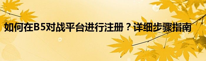 如何在B5对战平台进行注册？详细步骤指南