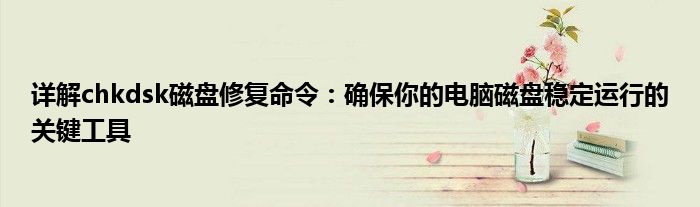 详解chkdsk磁盘修复命令：确保你的电脑磁盘稳定运行的关键工具