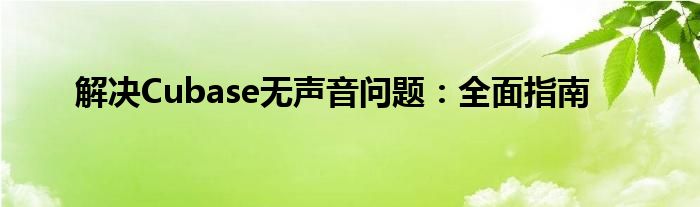 解决Cubase无声音问题：全面指南
