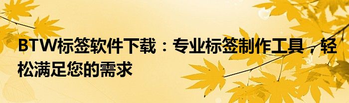 BTW标签软件下载：专业标签制作工具，轻松满足您的需求