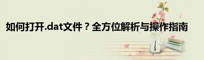 如何打开.dat文件？全方位解析与操作指南
