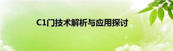 C1门技术解析与应用探讨