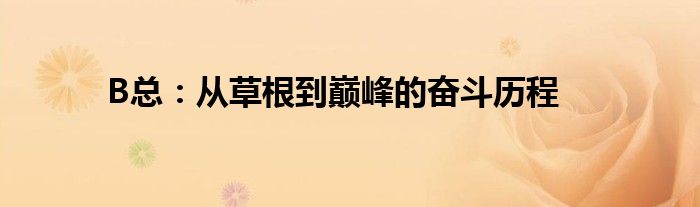 B总：从草根到巅峰的奋斗历程