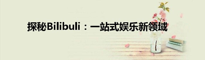 探秘Bilibuli：一站式娱乐新领域