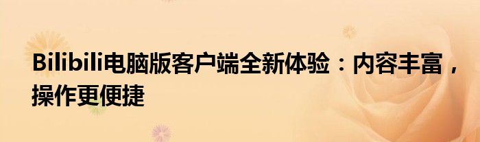 Bilibili电脑版客户端全新体验：内容丰富，操作更便捷
