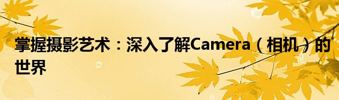 掌握摄影艺术：深入了解Camera（相机）的世界