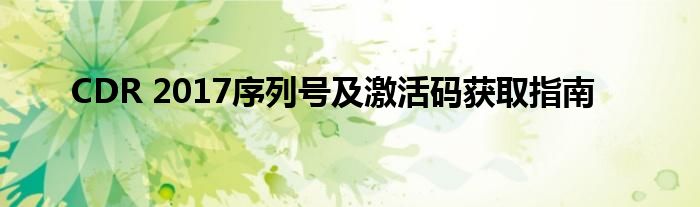 CDR 2017序列号及激活码获取指南