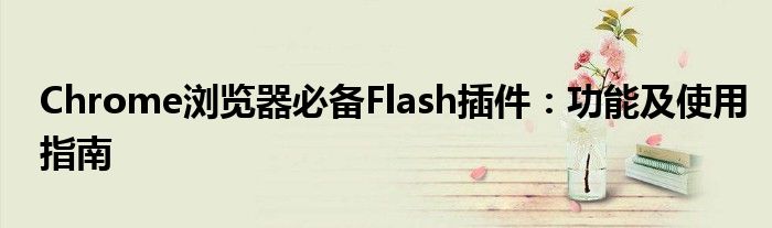 Chrome浏览器必备Flash插件：功能及使用指南