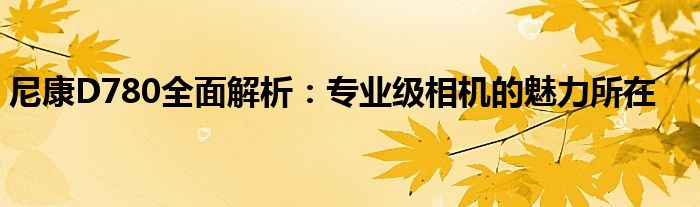 尼康D780全面解析：专业级相机的魅力所在