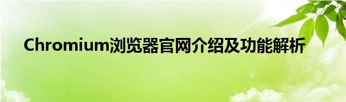 Chromium浏览器官网介绍及功能解析
