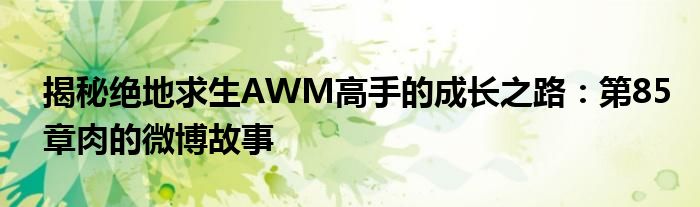 揭秘绝地求生AWM高手的成长之路：第85章肉的微博故事