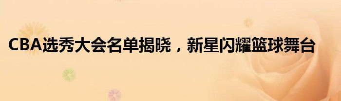 CBA选秀大会名单揭晓，新星闪耀篮球舞台