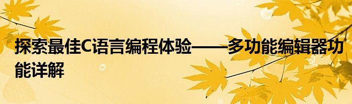 探索最佳C语言编程体验——多功能编辑器功能详解