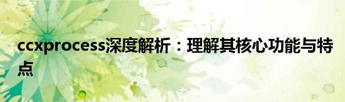 ccxprocess深度解析：理解其核心功能与特点