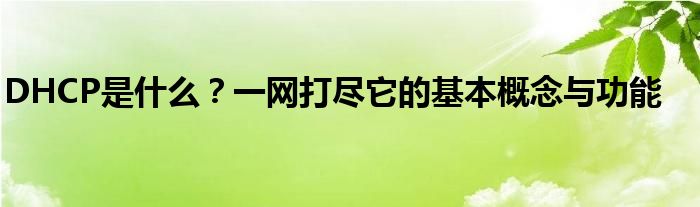 DHCP是什么？一网打尽它的基本概念与功能