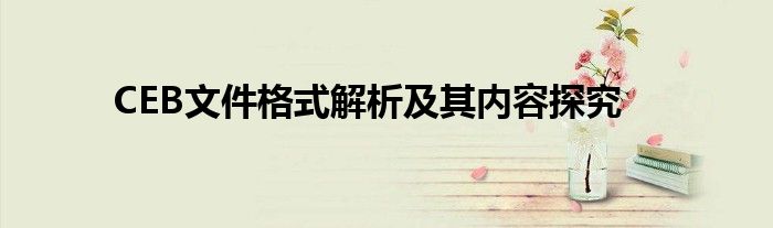 CEB文件格式解析及其内容探究