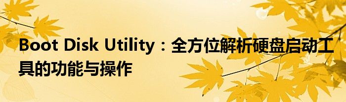 Boot Disk Utility：全方位解析硬盘启动工具的功能与操作