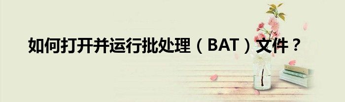 如何打开并运行批处理（BAT）文件？