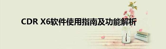 CDR X6软件使用指南及功能解析