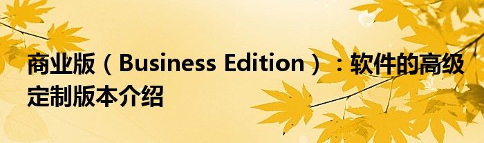 商业版（Business Edition）：软件的高级定制版本介绍