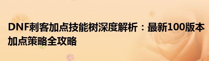 DNF刺客加点技能树深度解析：最新100版本加点策略全攻略