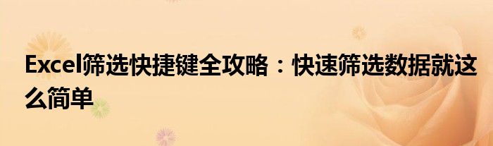 Excel筛选快捷键全攻略：快速筛选数据就这么简单