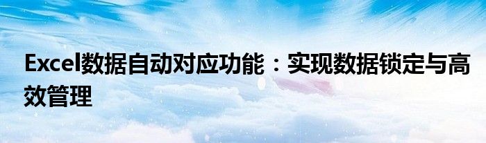 Excel数据自动对应功能：实现数据锁定与高效管理