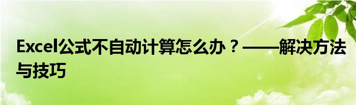 Excel公式不自动计算怎么办？——解决方法与技巧