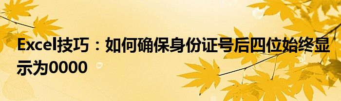 Excel技巧：如何确保身份证号后四位始终显示为0000