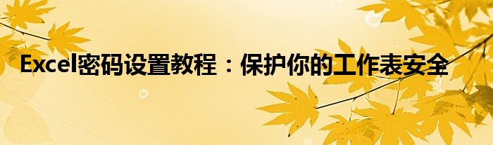 Excel密码设置教程：保护你的工作表安全