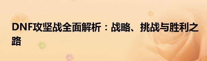 DNF攻坚战全面解析：战略、挑战与胜利之路