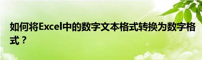 如何将Excel中的数字文本格式转换为数字格式？