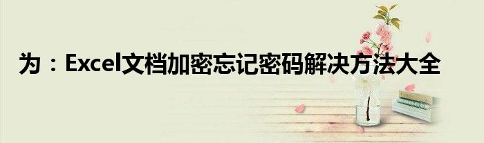 为：Excel文档加密忘记密码解决方法大全