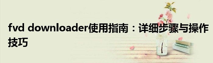 fvd downloader使用指南：详细步骤与操作技巧
