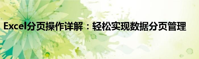 Excel分页操作详解：轻松实现数据分页管理