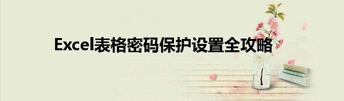 Excel表格密码保护设置全攻略