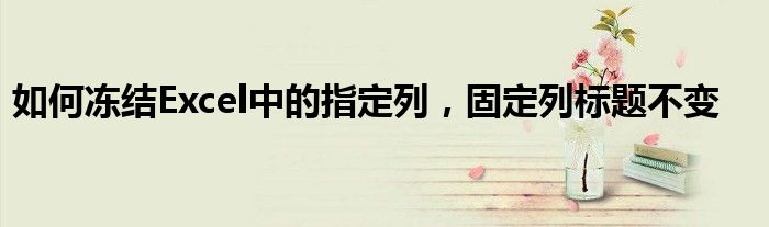 如何冻结Excel中的指定列，固定列标题不变