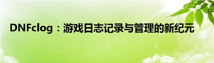DNFclog：游戏日志记录与管理的新纪元