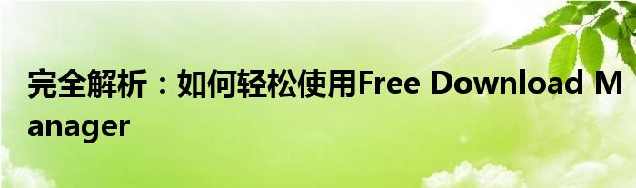 完全解析：如何轻松使用Free Download Manager