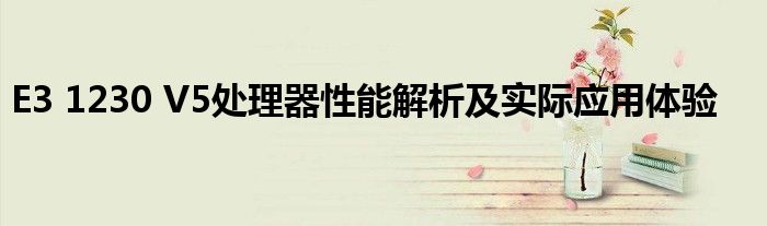 E3 1230 V5处理器性能解析及实际应用体验
