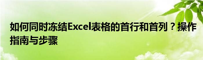 如何同时冻结Excel表格的首行和首列？操作指南与步骤