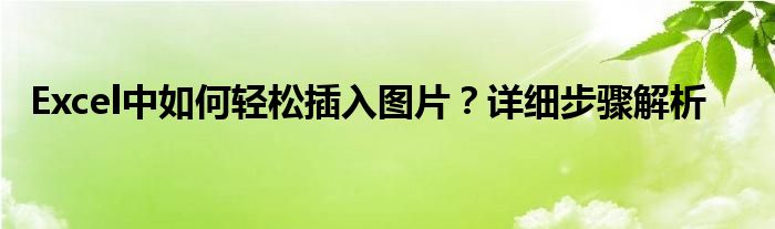 Excel中如何轻松插入图片？详细步骤解析