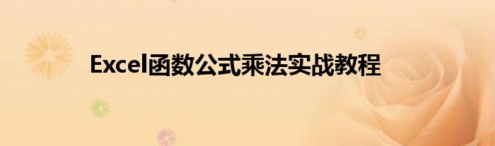 Excel函数公式乘法实战教程