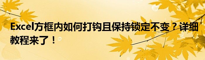 Excel方框内如何打钩且保持锁定不变？详细教程来了！