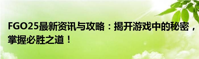 FGO25最新资讯与攻略：揭开游戏中的秘密，掌握必胜之道！