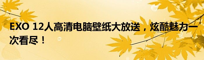 EXO 12人高清电脑壁纸大放送，炫酷魅力一次看尽！